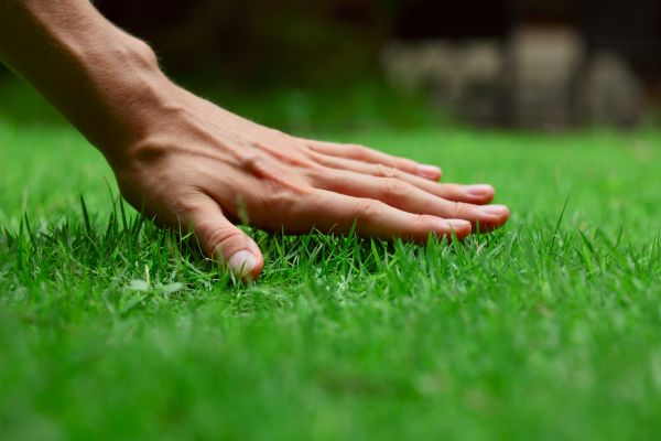 Des Moines Lawn Treatment