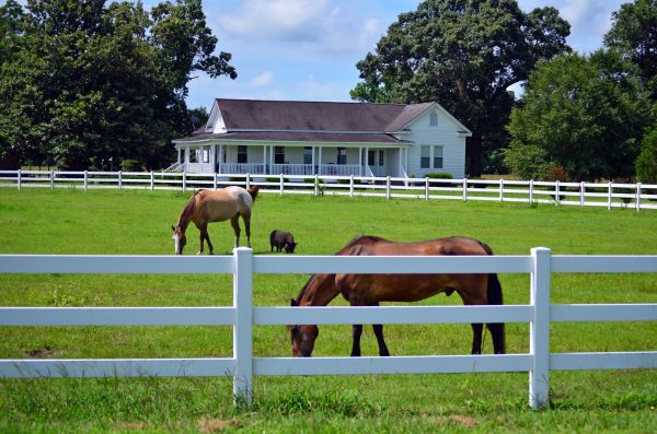 Des Moines Fence Service